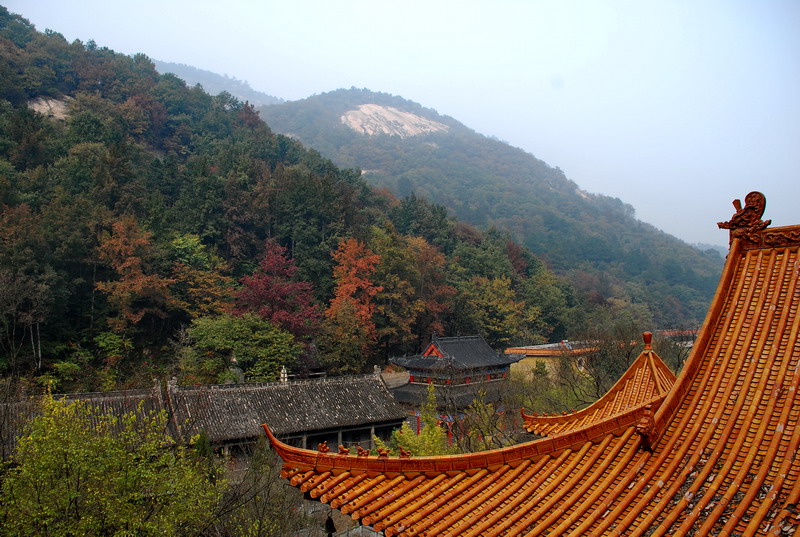 dsc_2386.jpg