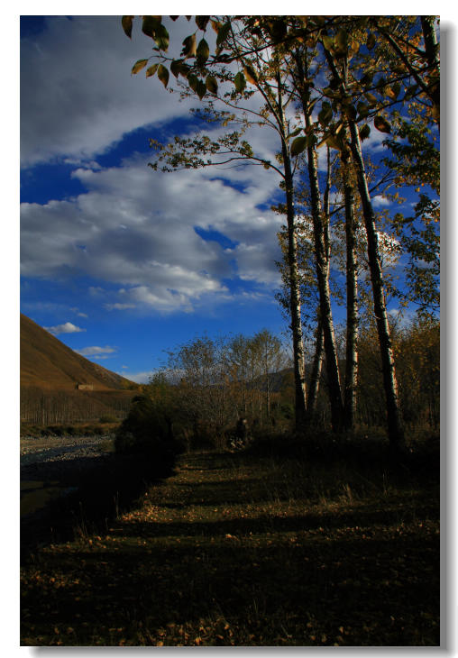 img_6485.jpg