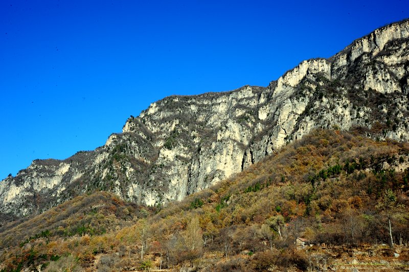 apx_6008.jpg