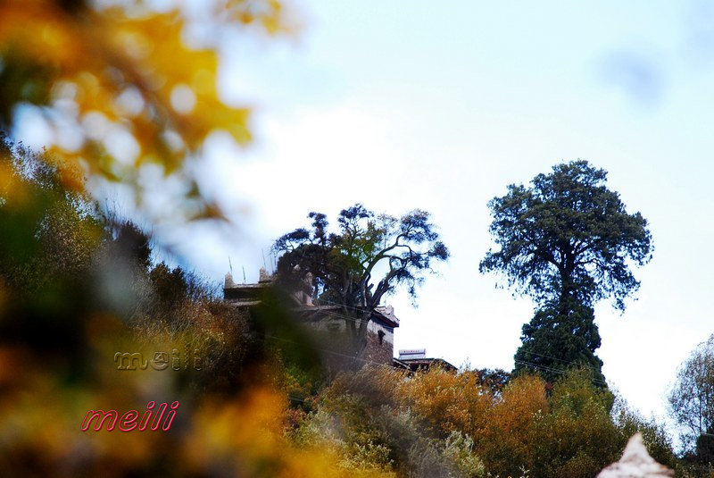 neo_img_կ 187_conew1.jpg