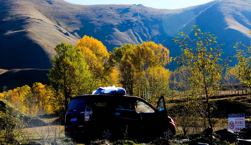 dpp_0088_СС.jpg