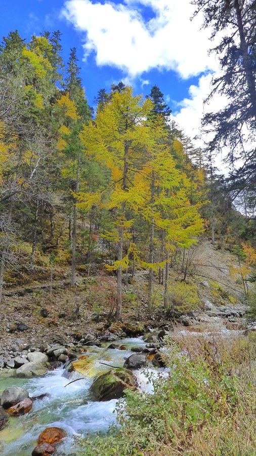 p1030451_.jpg