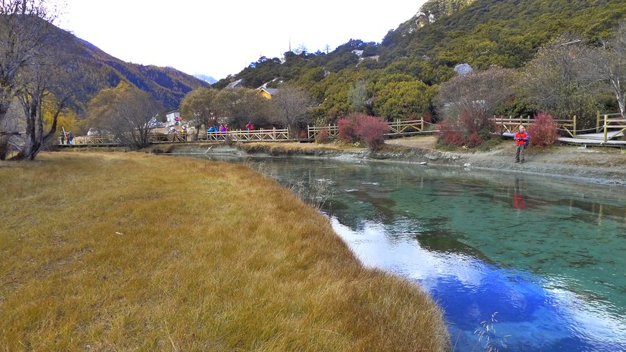 p1030564_.jpg