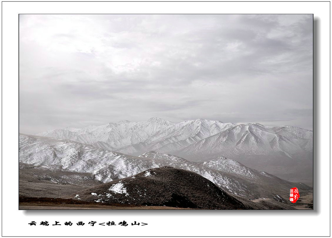 dsc_0602.jpg