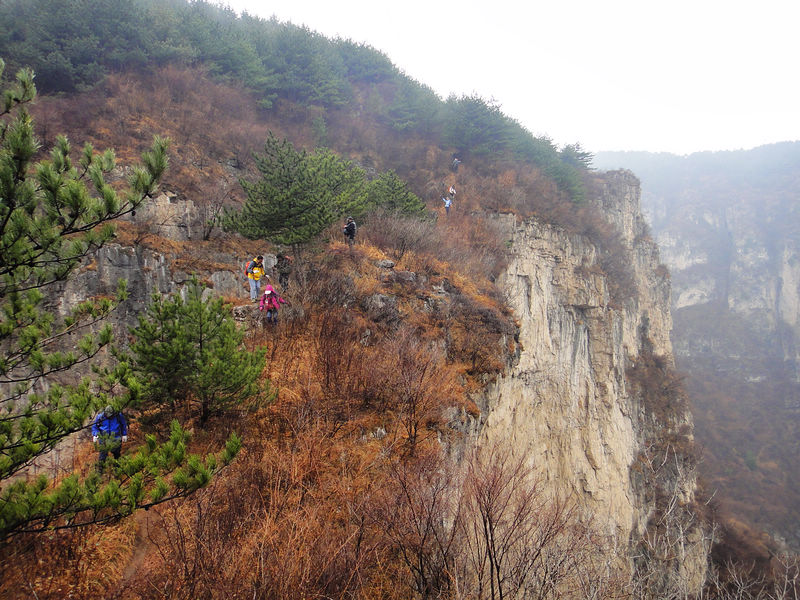 dsc08005.jpg