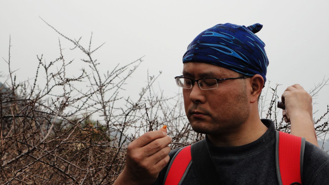 neo_img_dsc00052.jpg