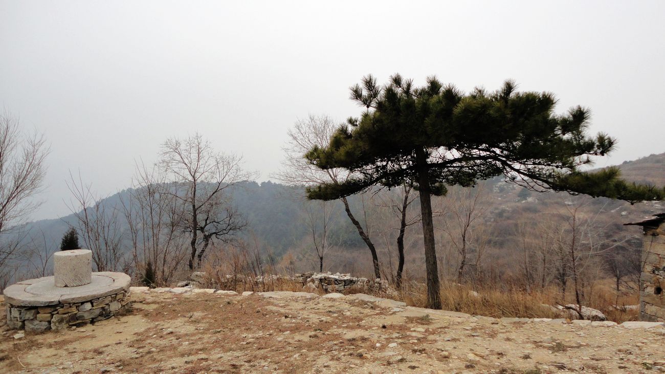 neo_img_dsc00079.jpg