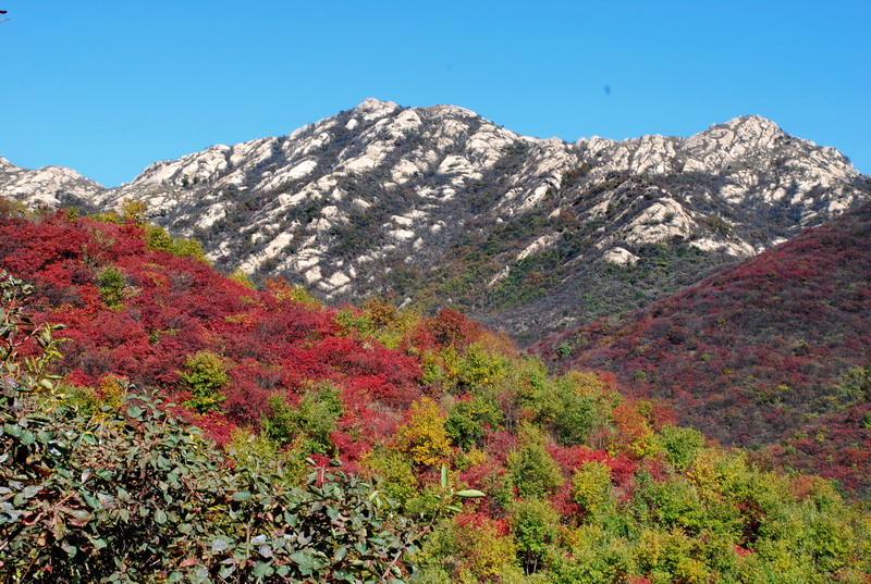 dsc_2452.jpg
