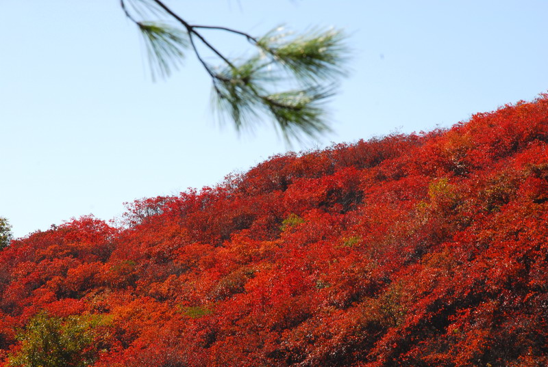 dsc_2580.jpg