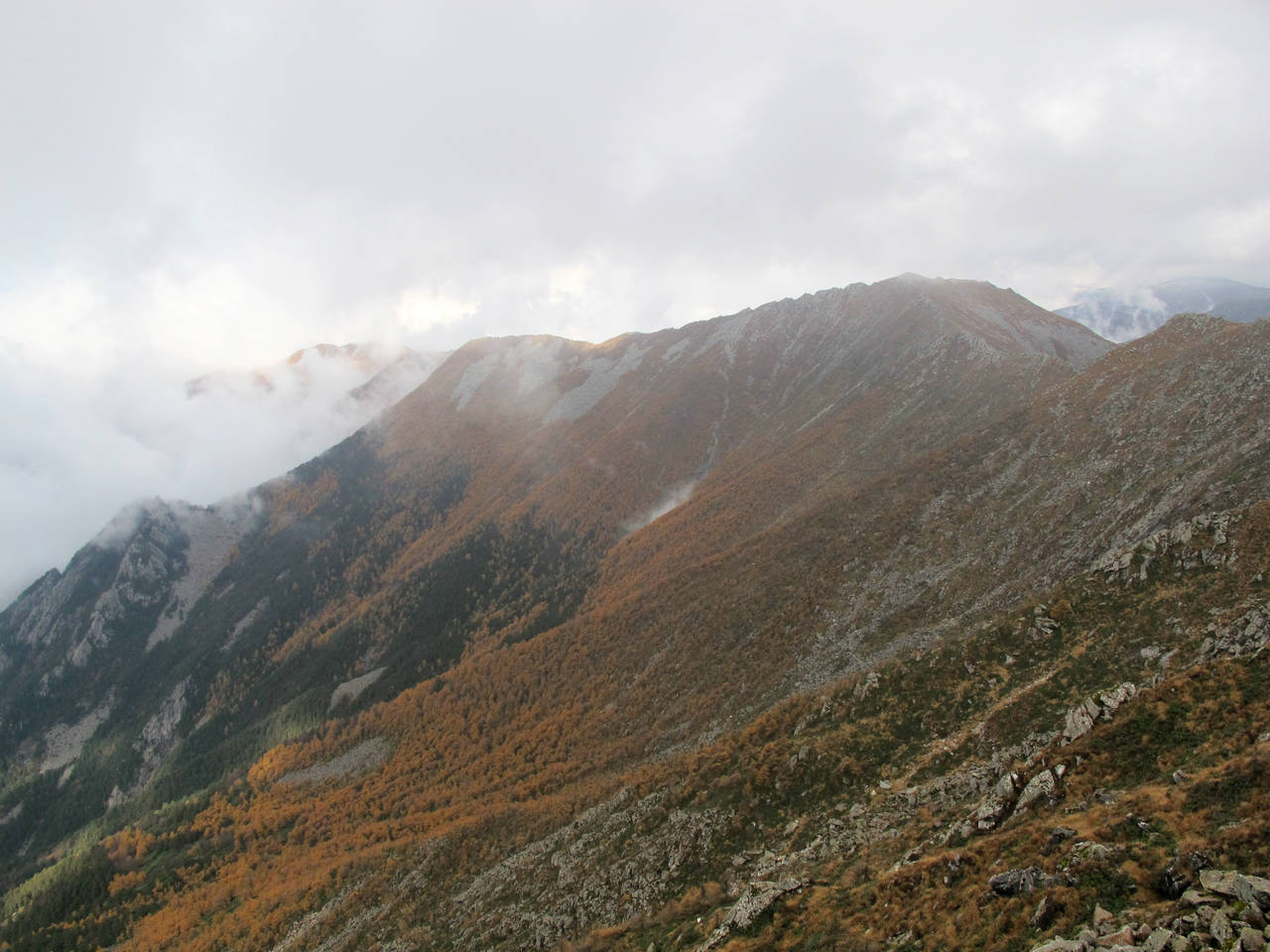 img_5788.jpg