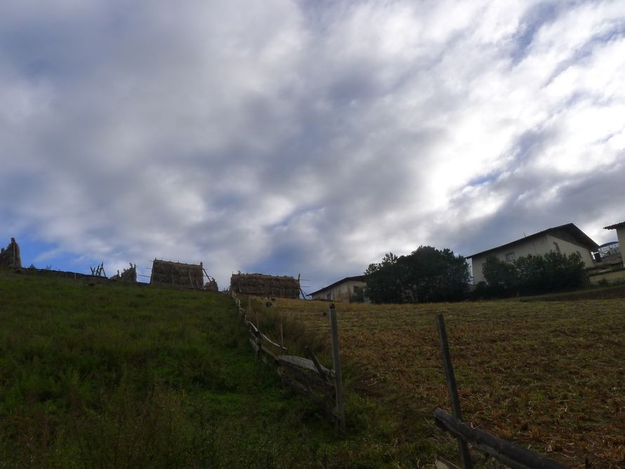 p1010138.jpg