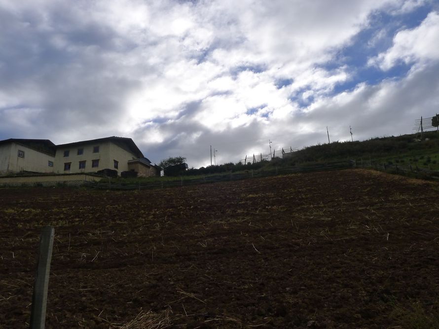 p1010140.jpg