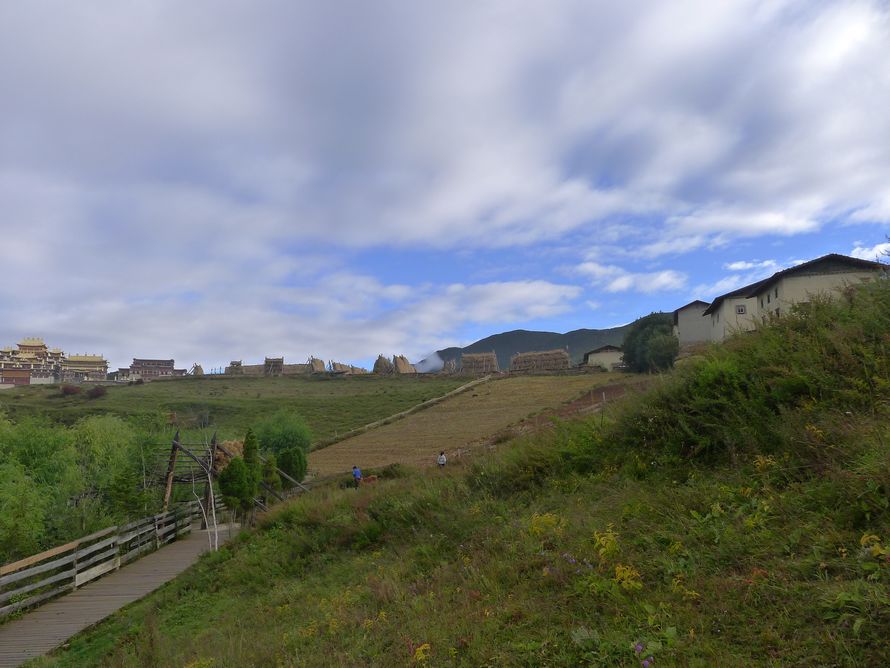 p1010146.jpg