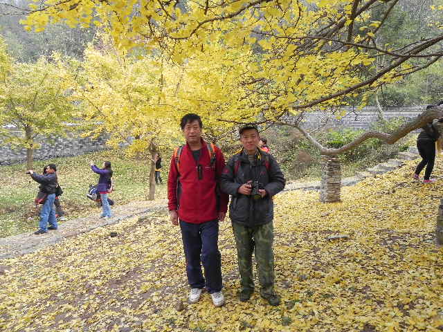 dscn1775.jpg