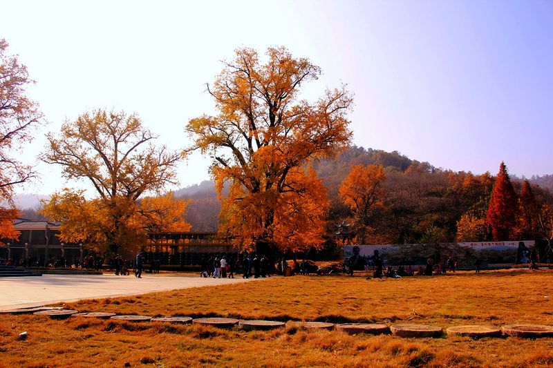 _mg_9835.jpg