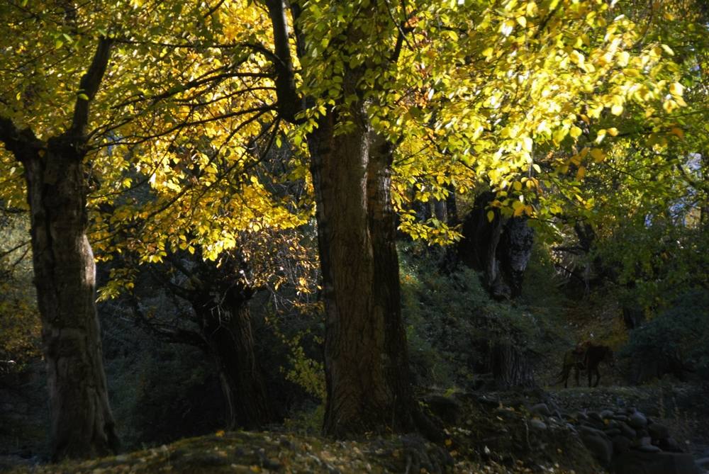 dsc_0178.jpg