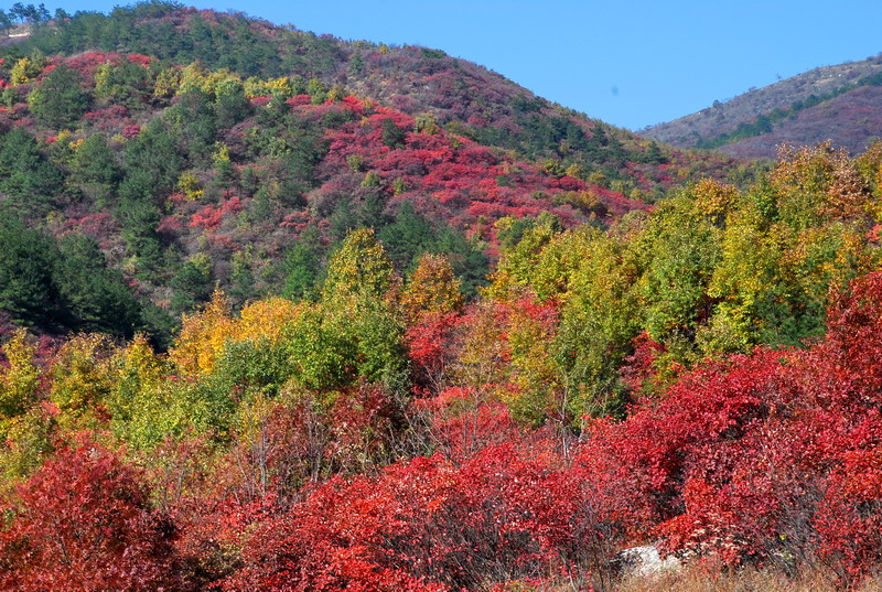 dsc_2690.jpg