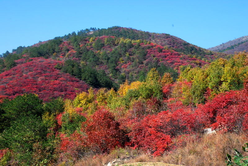 dsc_2689.jpg