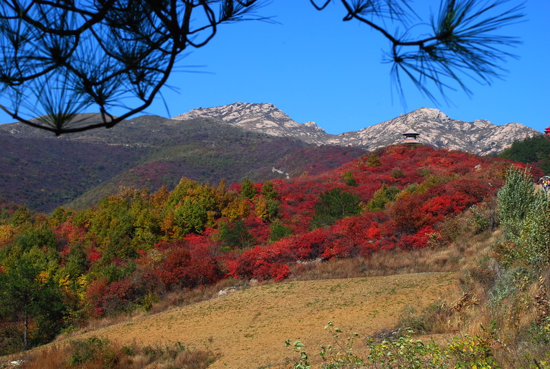 dsc_2695.jpg