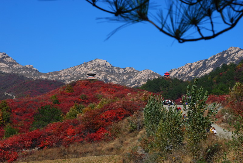 dsc_2707.jpg