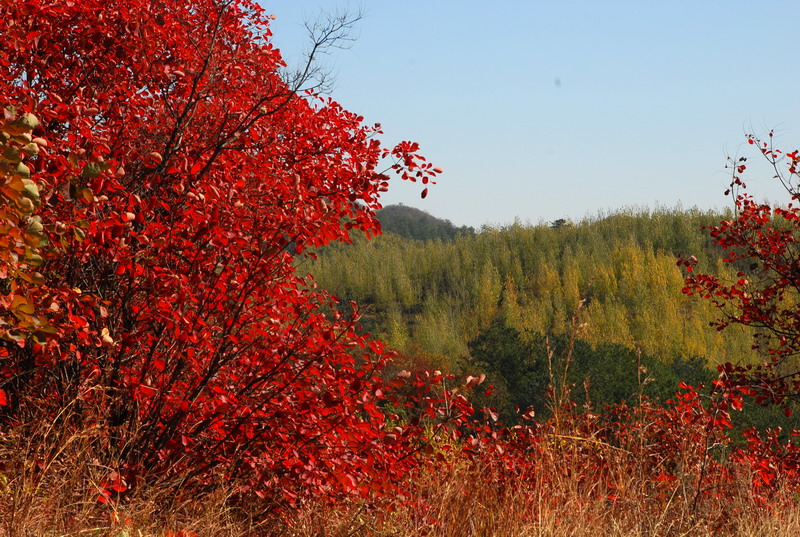 dsc_2714.jpg