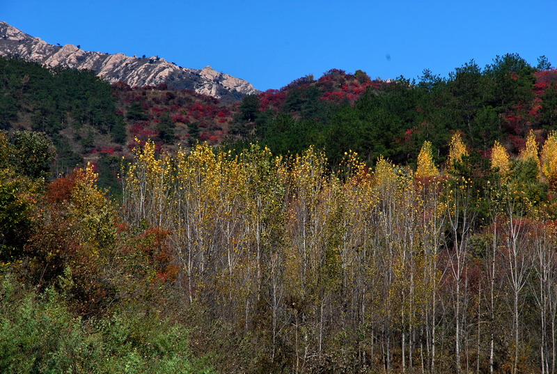 dsc_2731.jpg