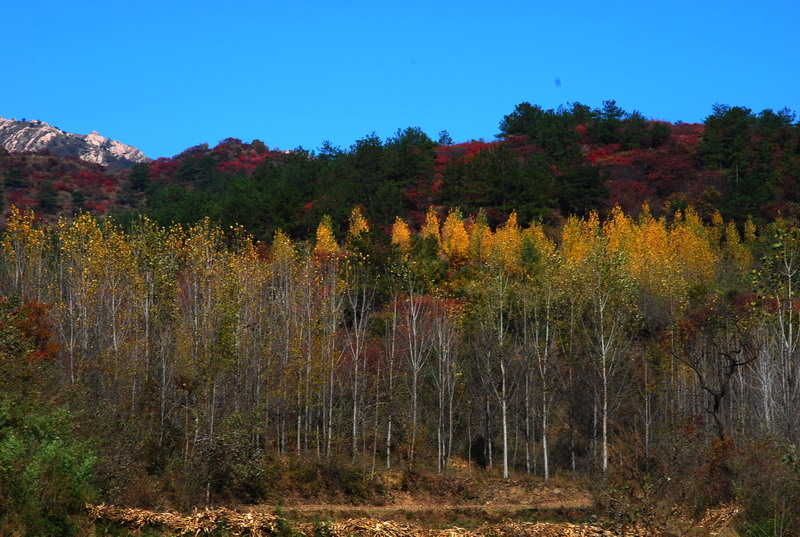 dsc_2734.jpg
