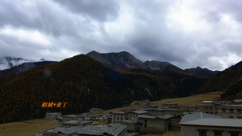 p1020010.jpg
