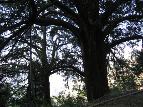 img_1772__.jpg