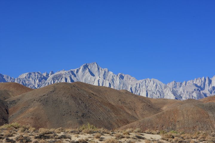 img_5727.jpg