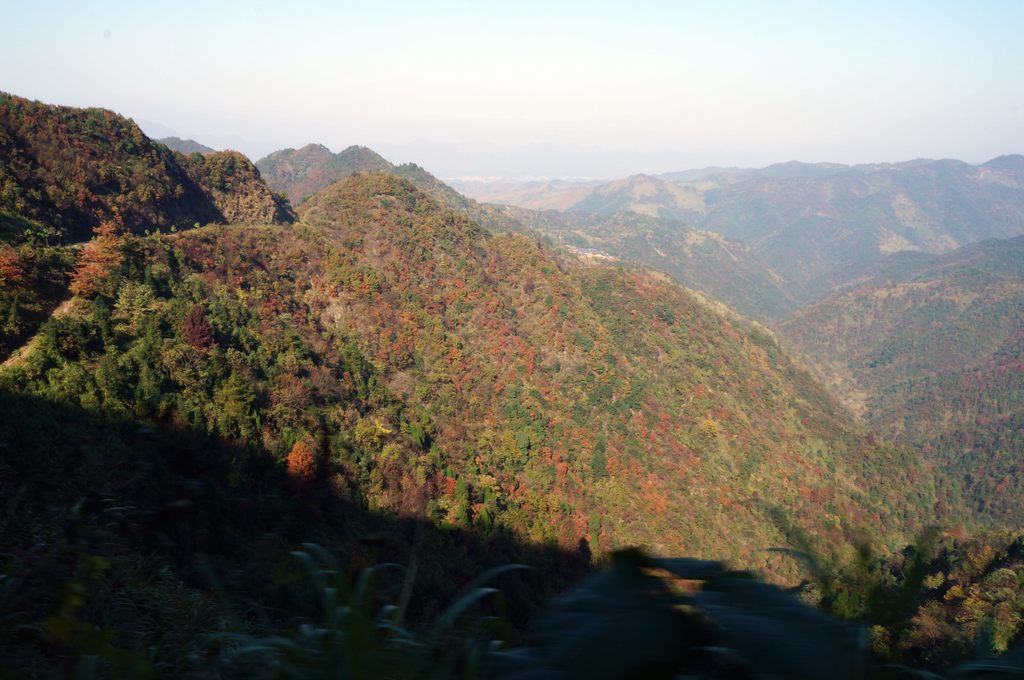 dsc07160.jpg