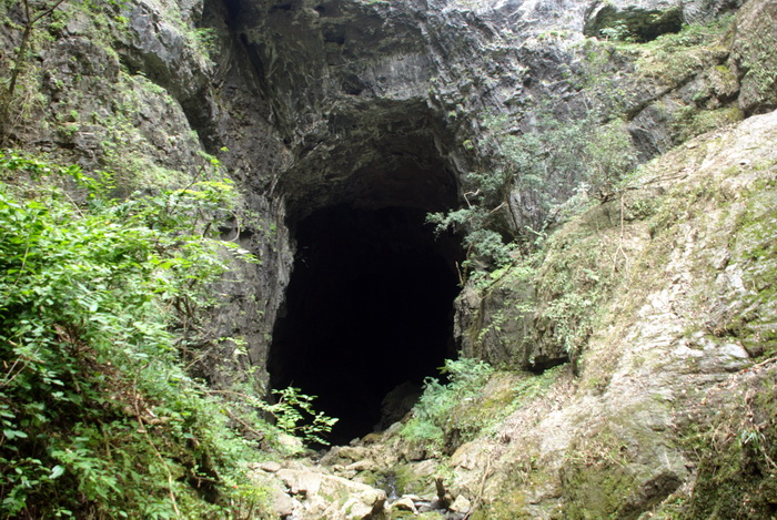 dsc_0289.jpg