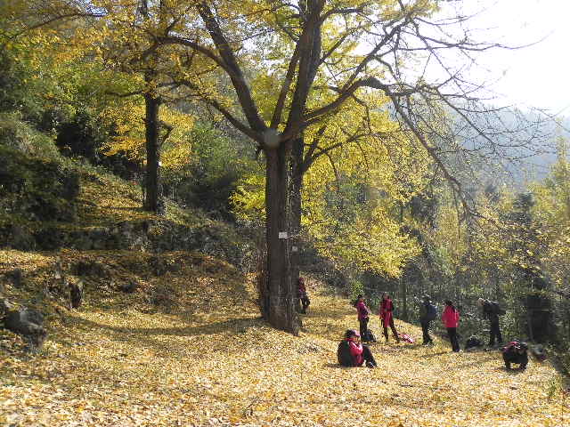 dscn1797.jpg