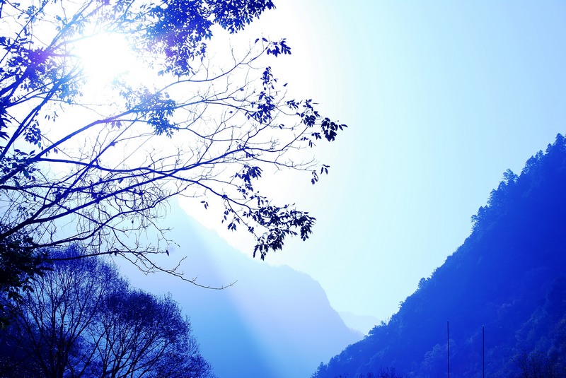 neo_img_天然盆景 018_conew1.jpg