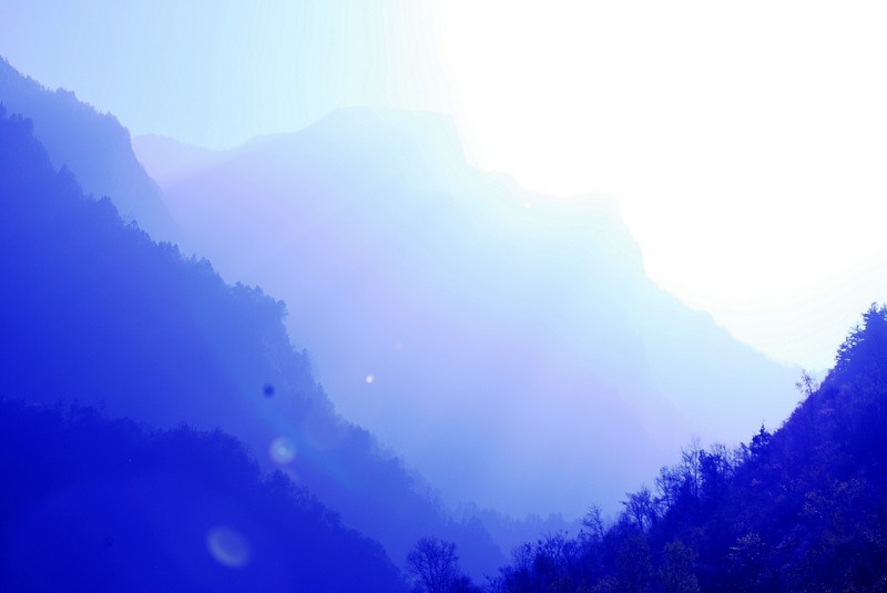 neo_img_天然盆景 046_conew1.jpg