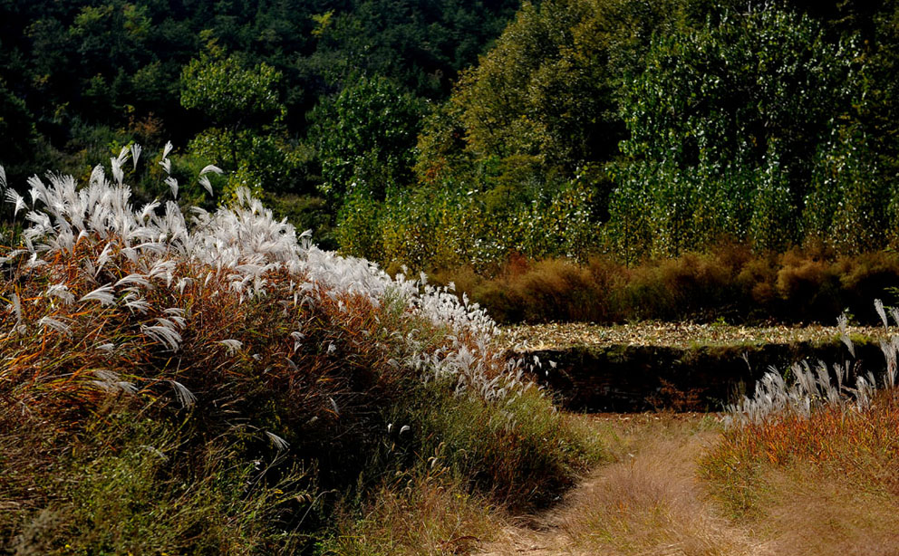 yjw_9495-1.jpg