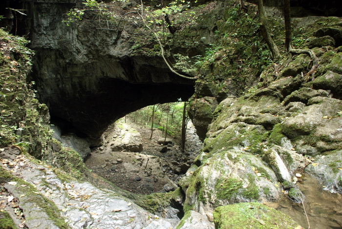 dsc_0292.jpg