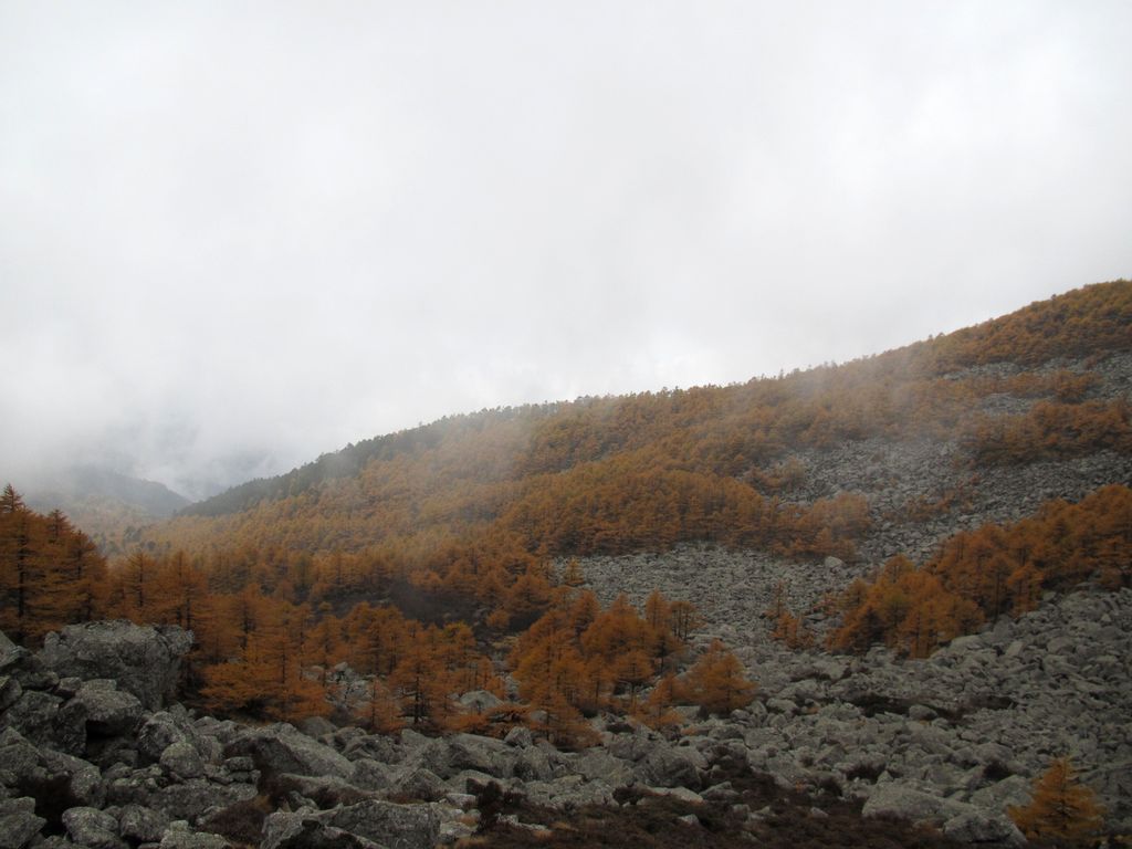 img_0375.jpg
