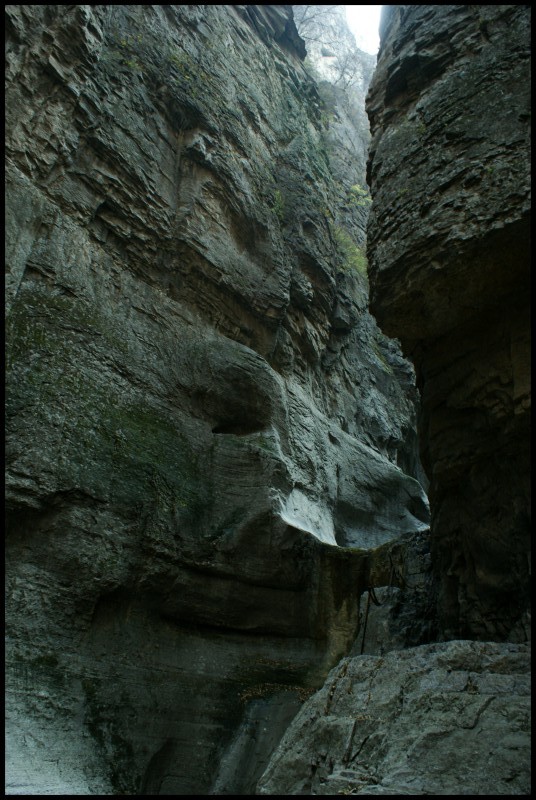 conew_dsc05898_conew1.jpg