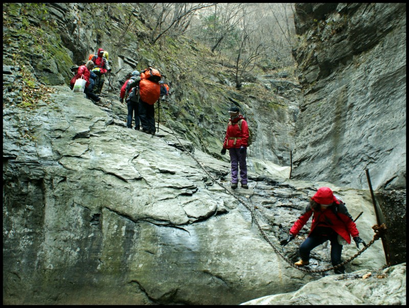 conew_dsc05882_conew1.jpg