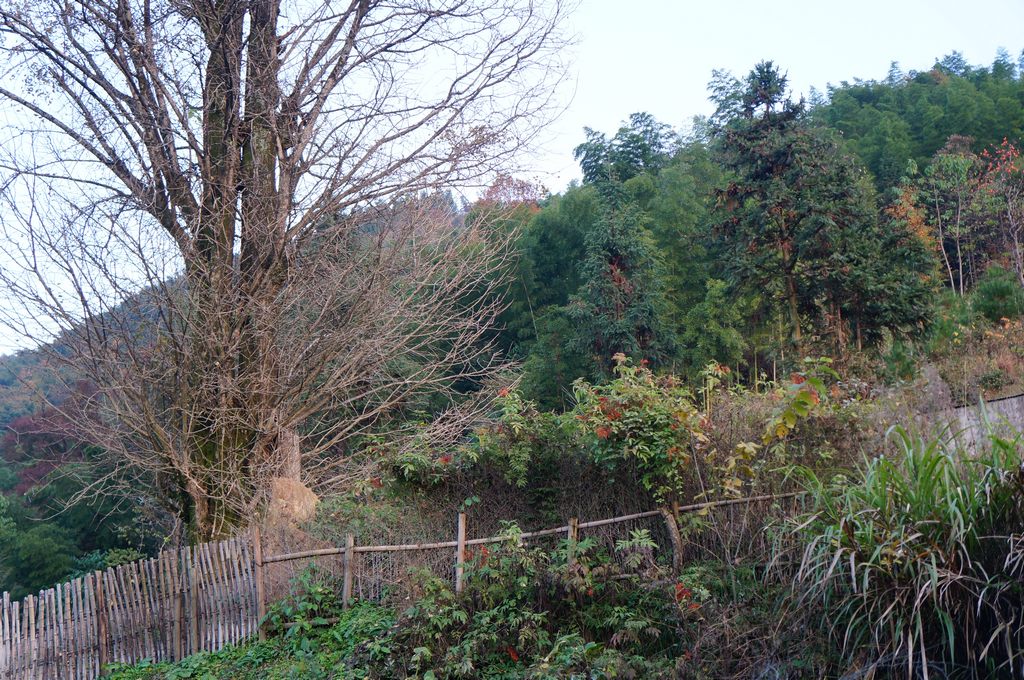 dsc07325.jpg