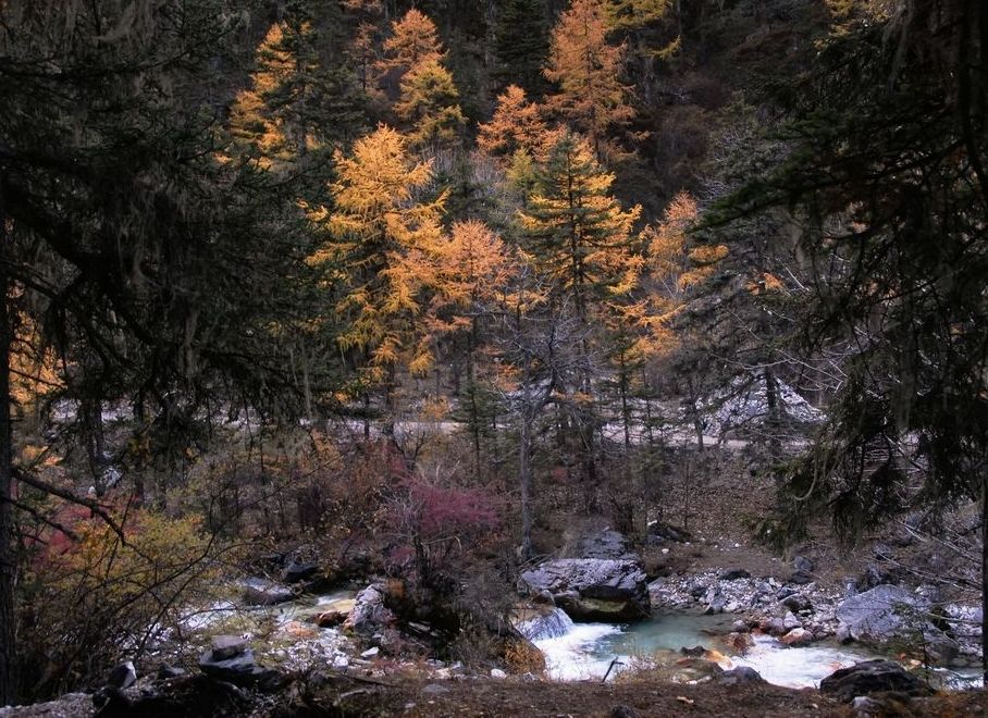 dsc_0330.jpg