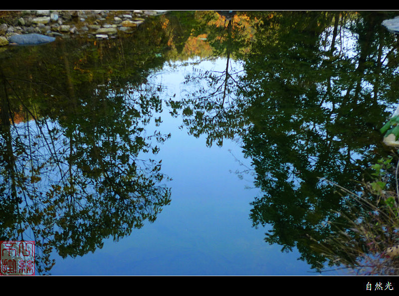 l1390431.jpg