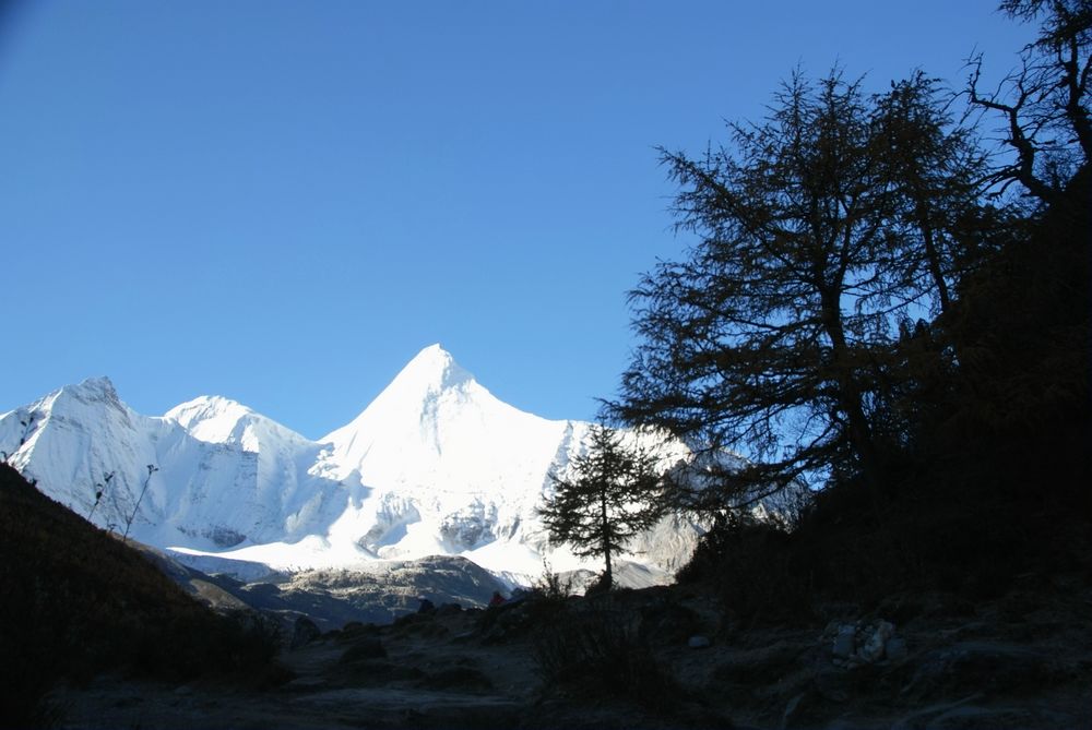 dsc_0450.jpg