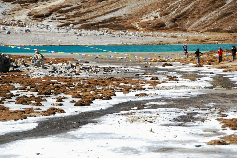 dsc_0496.jpg