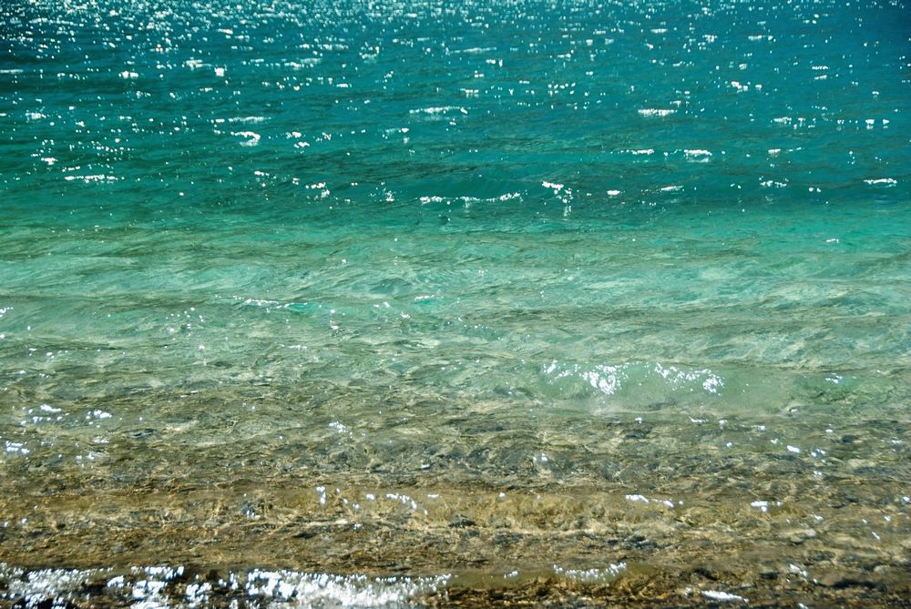dsc_0517.jpg