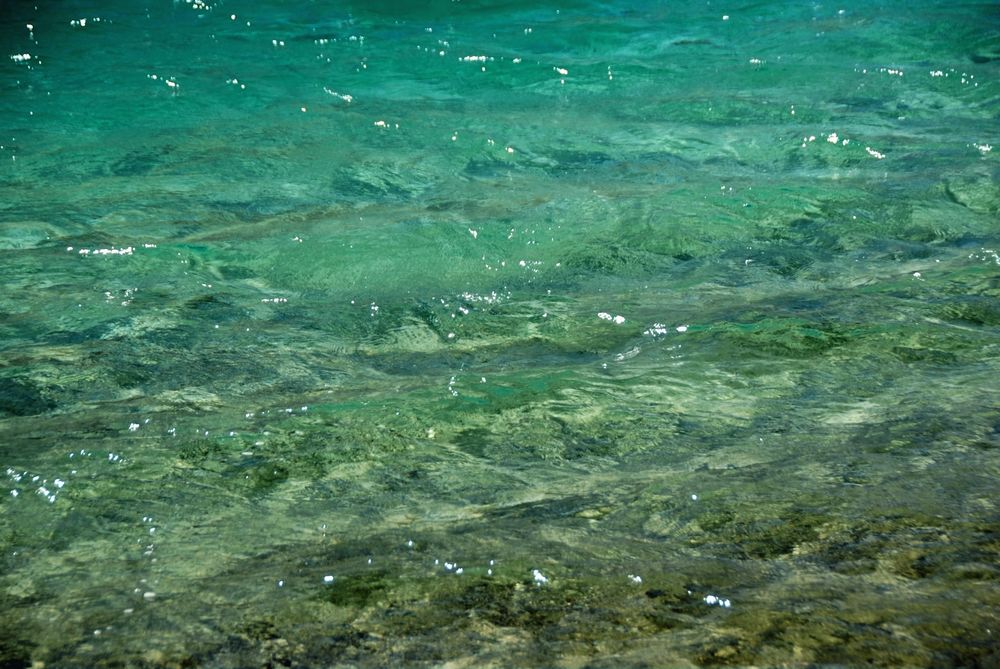 dsc_0522.jpg