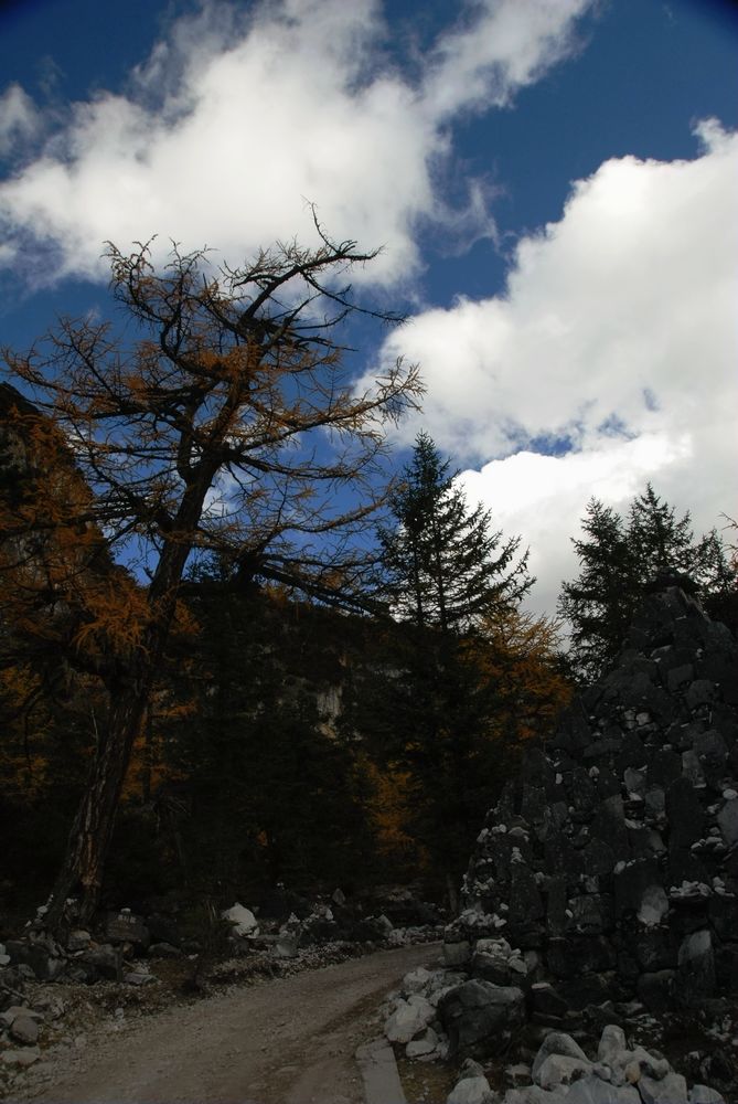 dsc_0344.jpg