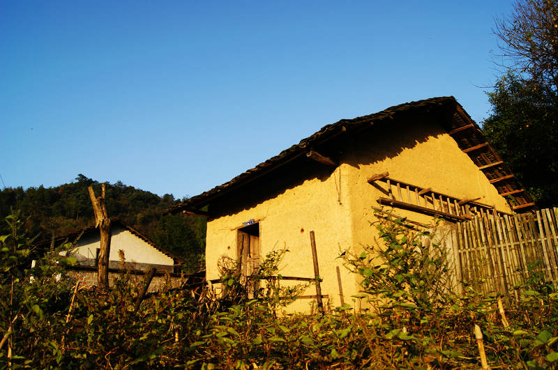 dsc05876.jpg