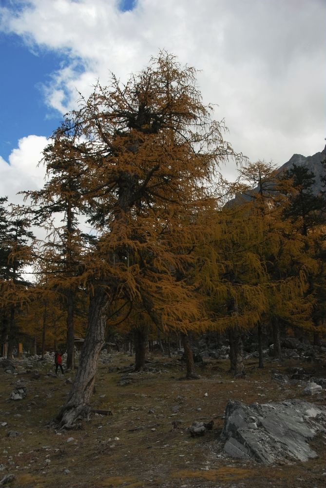 dsc_0345.jpg